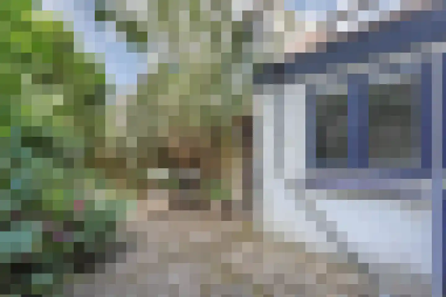Griftstraat 4 Utrecht thumbnail 20