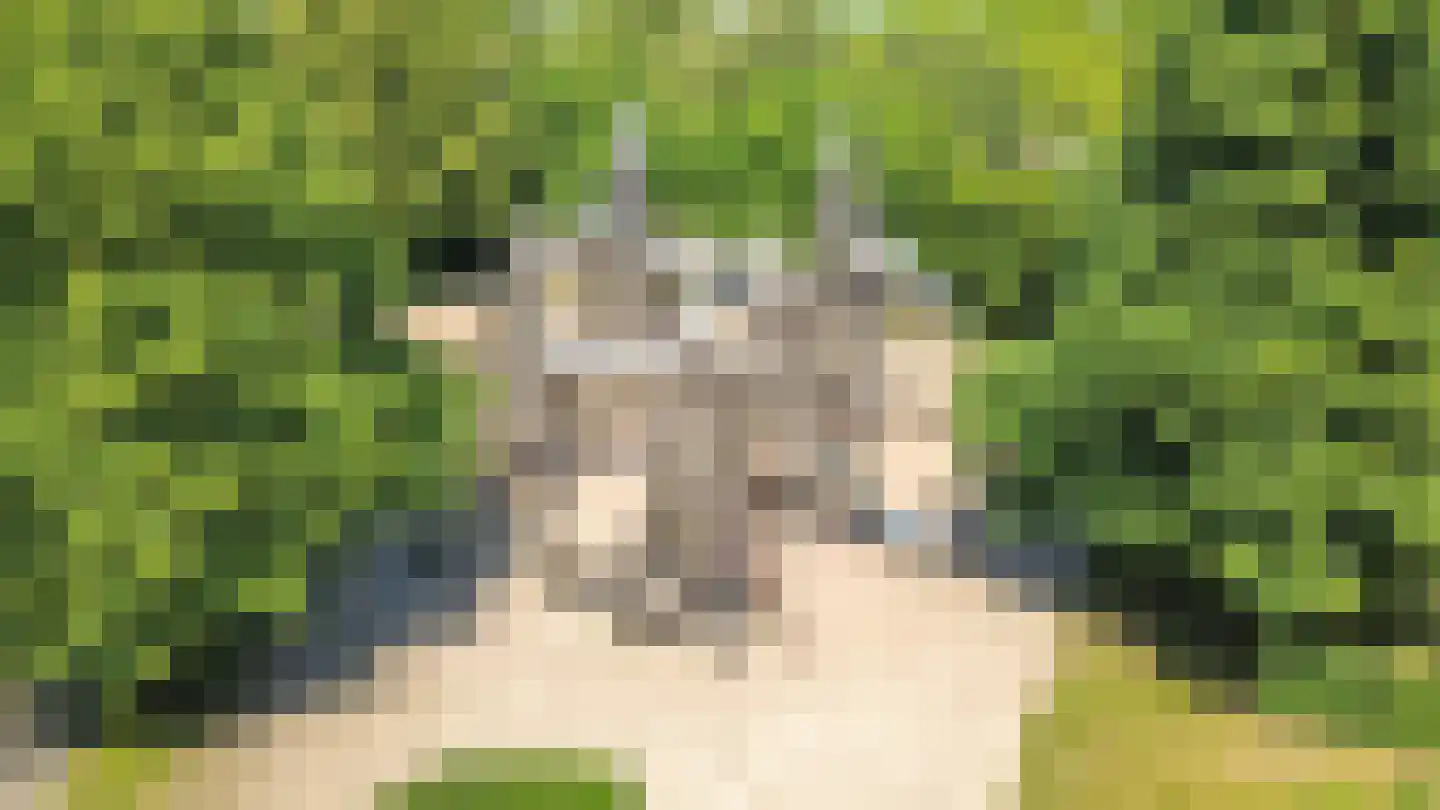 Griftstraat 4 Utrecht thumbnail 33