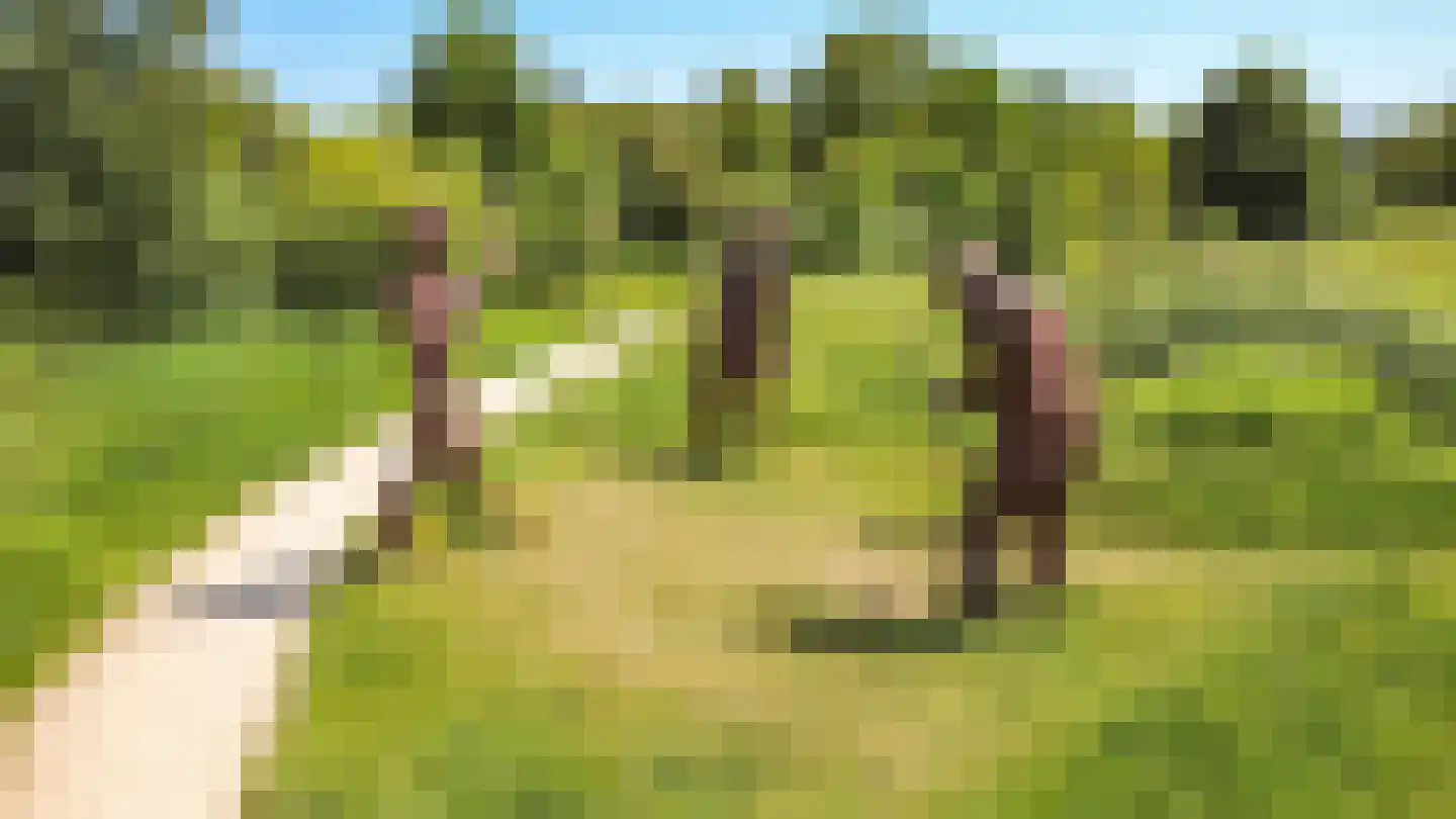 Griftstraat 4 Utrecht thumbnail 38