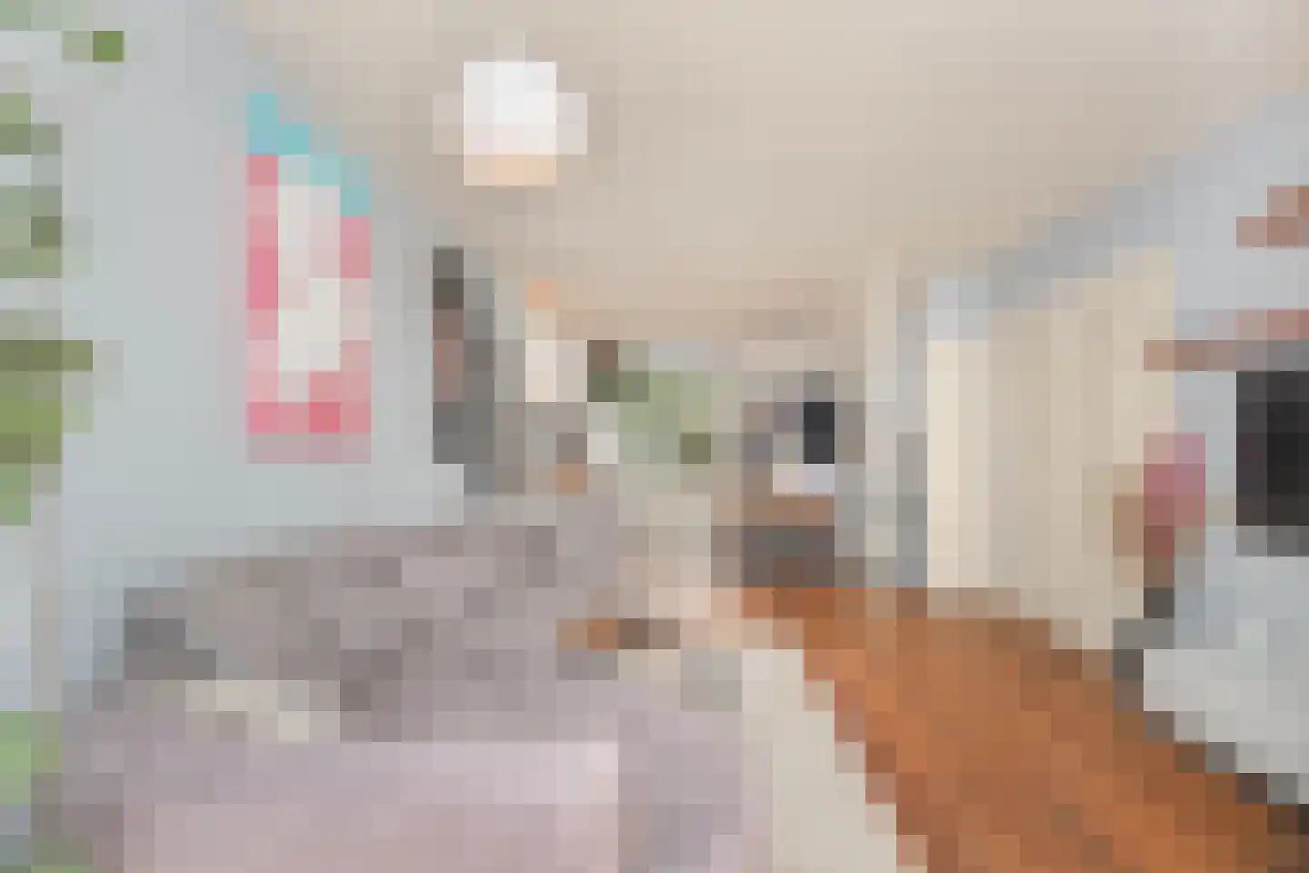 Griftstraat 4 Utrecht thumbnail 4