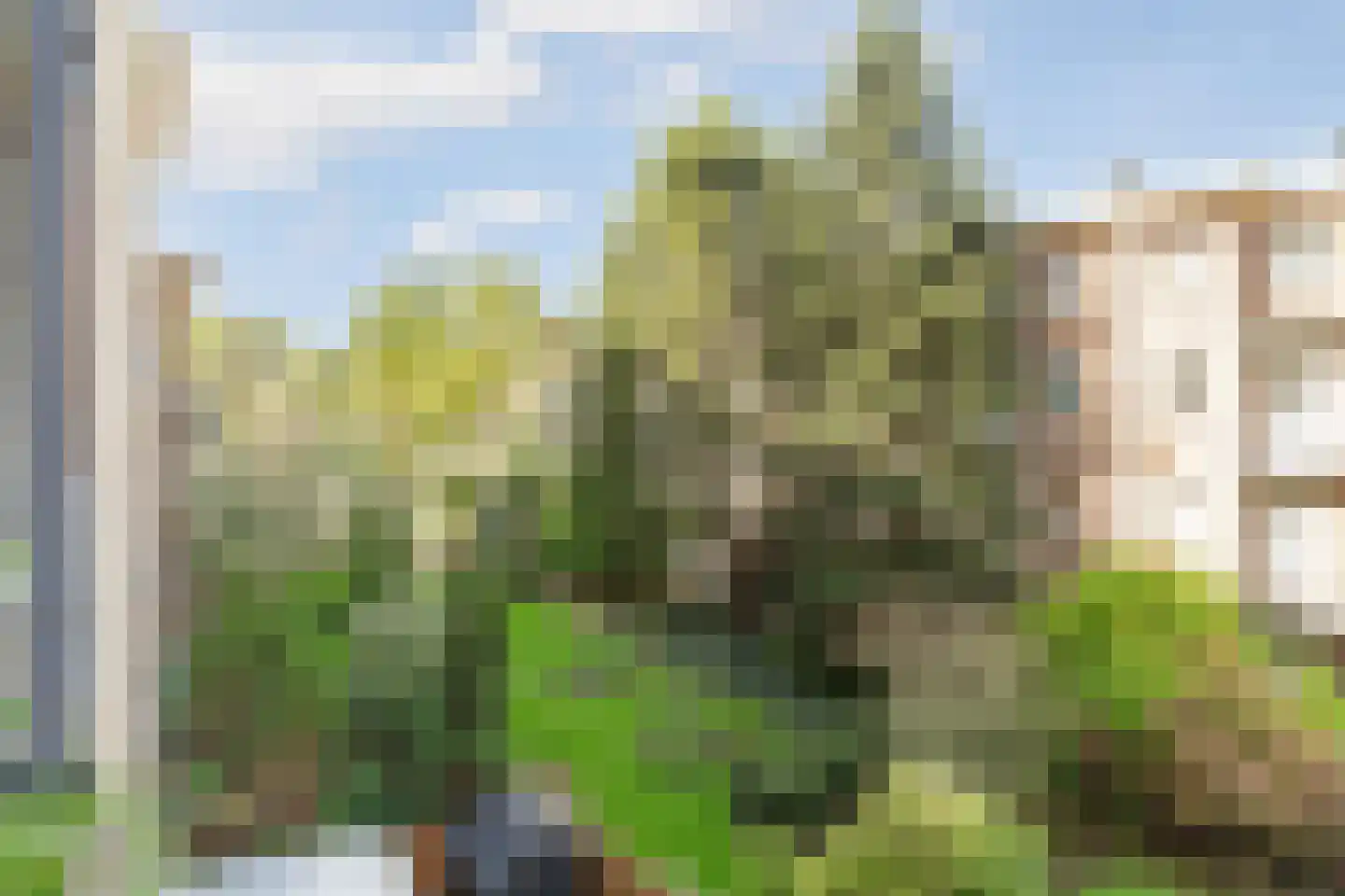 Griftstraat 44 2 Amsterdam thumbnail 17