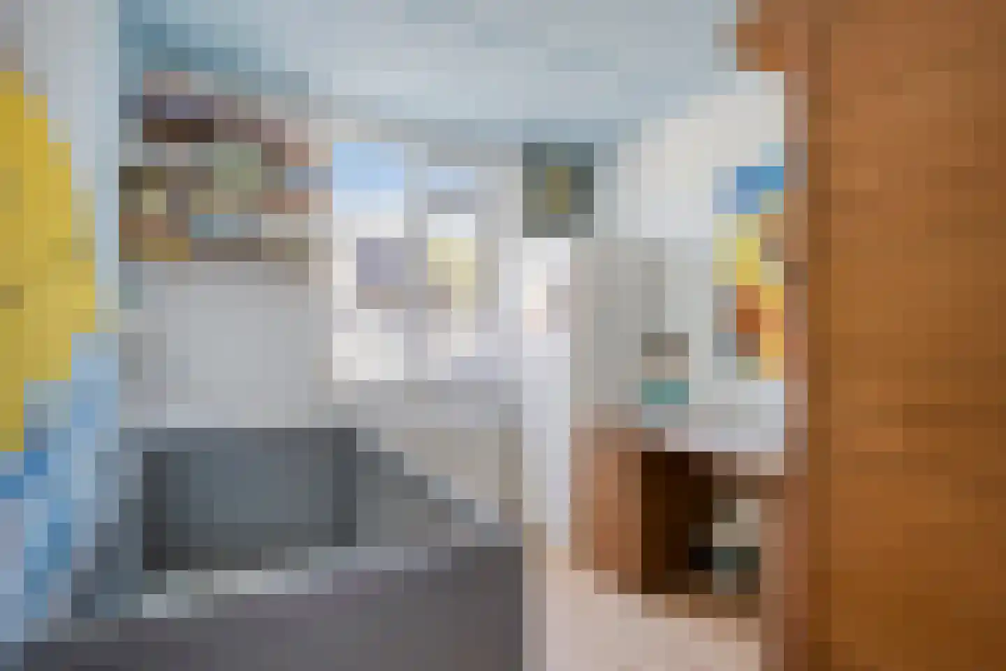 Griftstraat 44 Helmond thumbnail 24