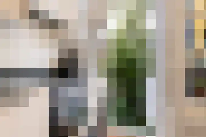 Griftstraat 47 BS Utrecht thumbnail 15