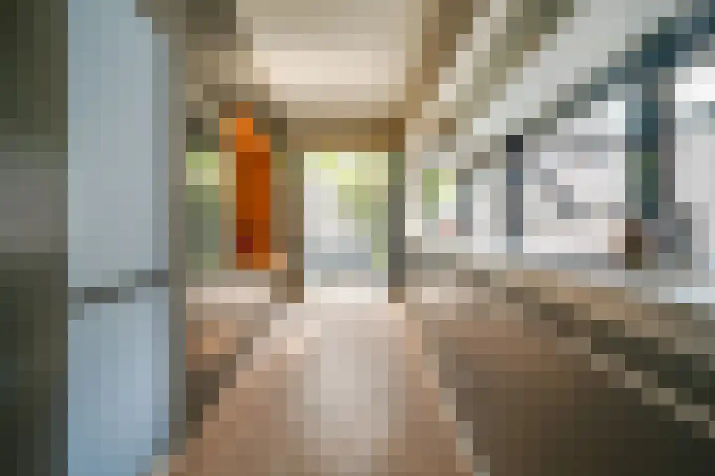 Griftstraat 50 Utrecht thumbnail 17