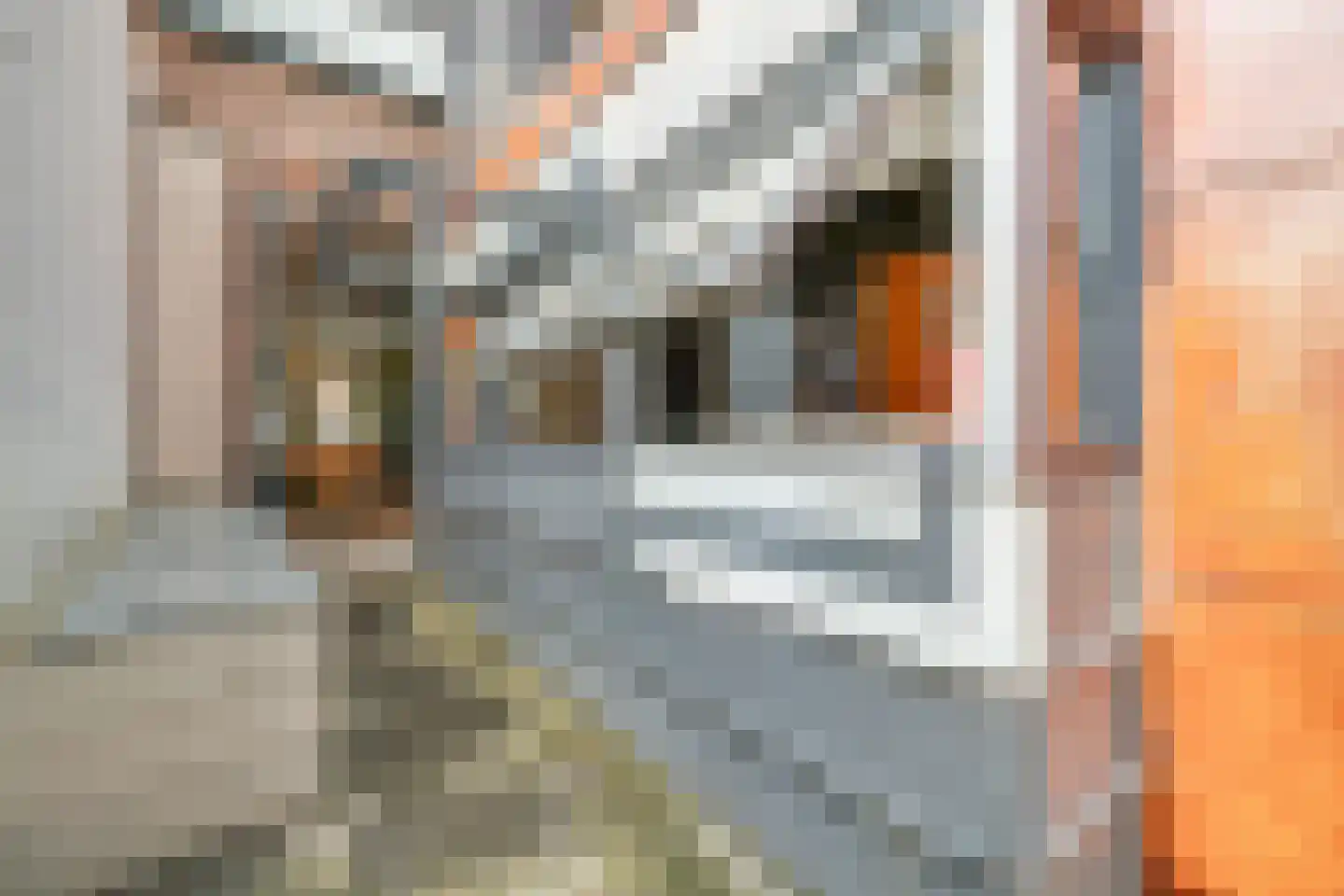 Griftstraat 50 Utrecht thumbnail 26