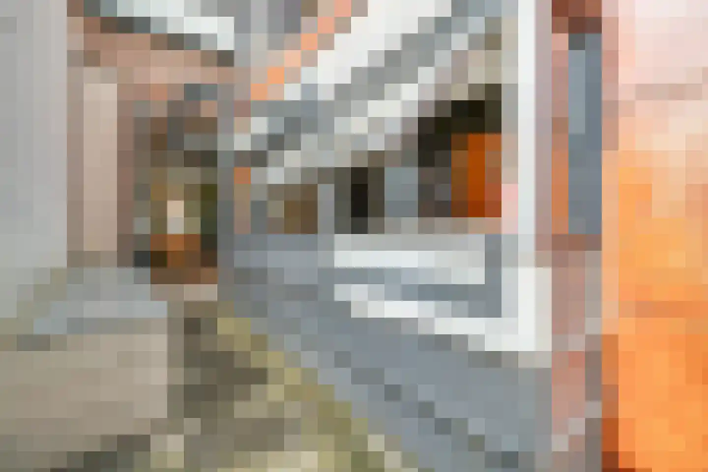 Griftstraat 50 Utrecht thumbnail 27