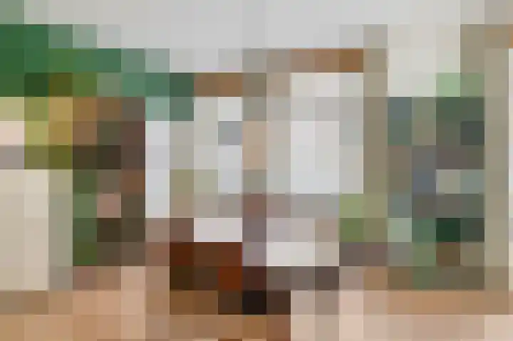 Griftstraat 55 Utrecht thumbnail 6