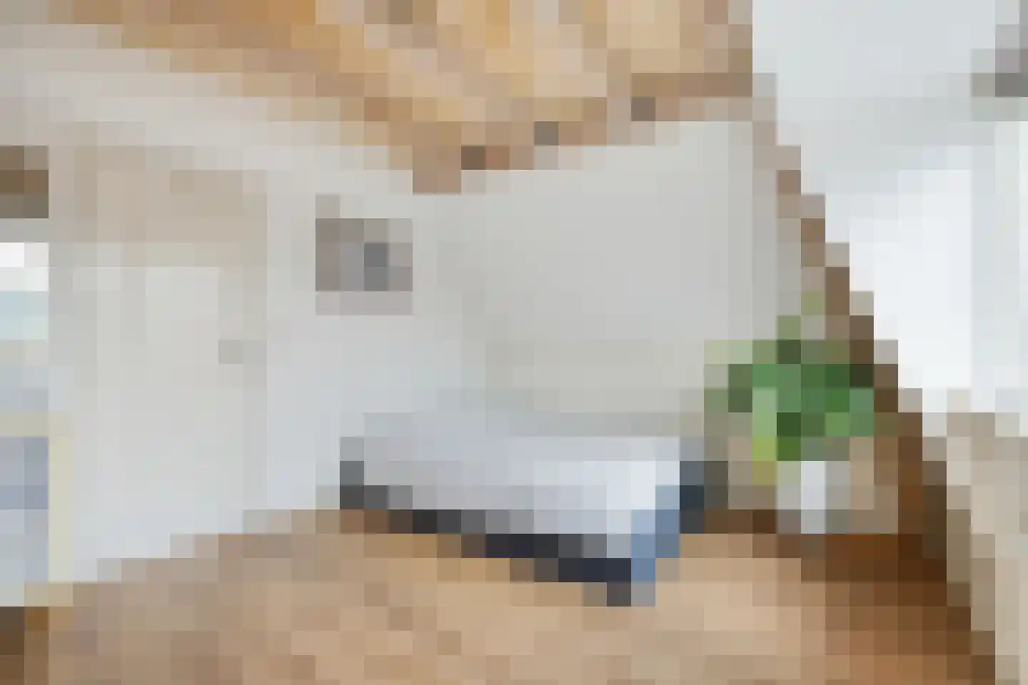 Griftstraat 66 Utrecht thumbnail 41