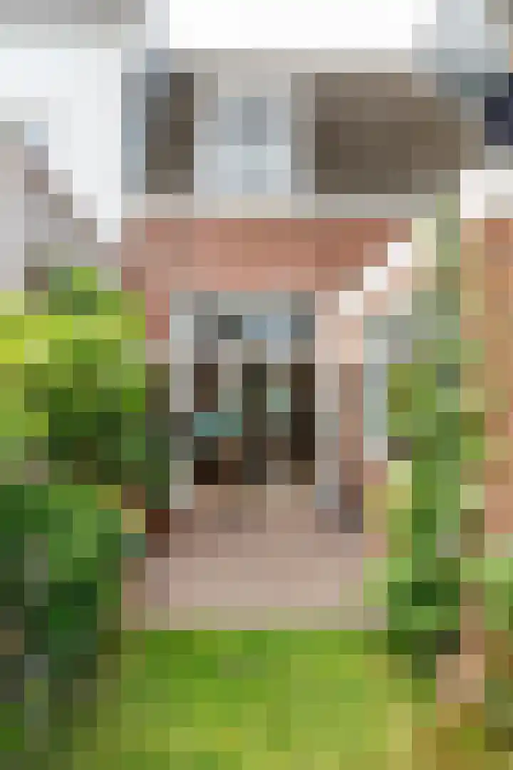 Griftstraat 96 Utrecht thumbnail 15