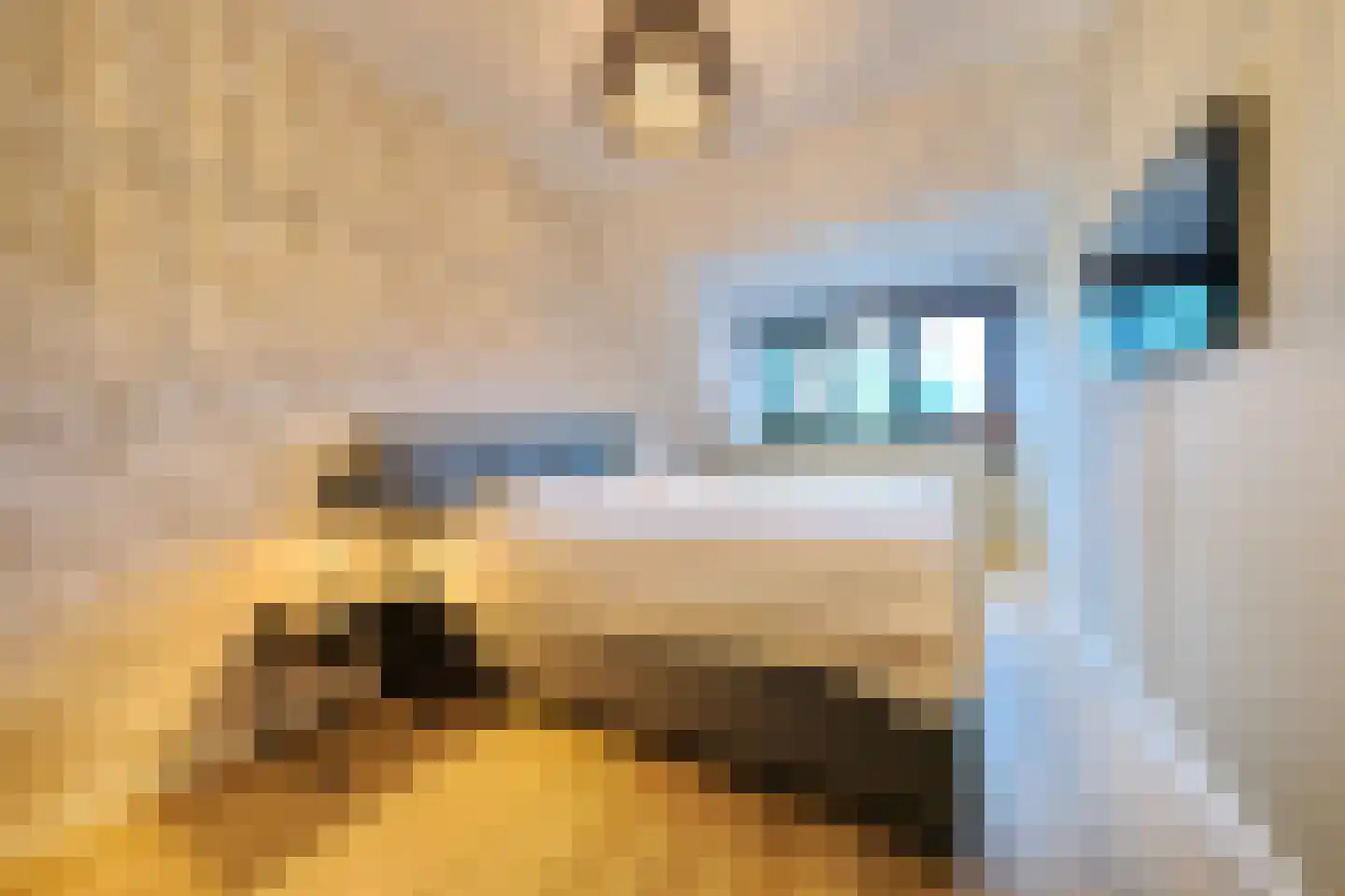 Griftweg 1 G De Klomp thumbnail 15