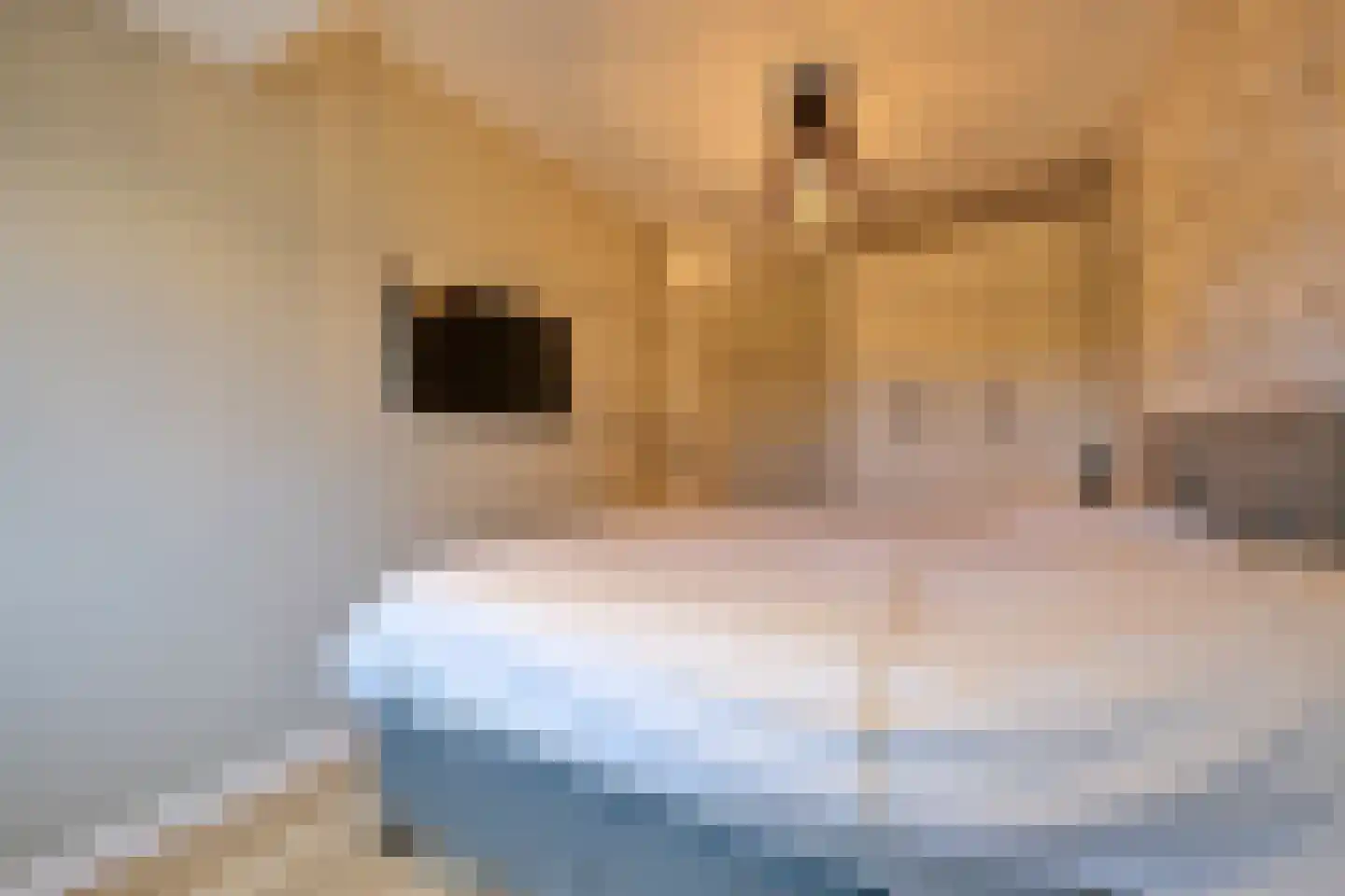 Griftweg 1 G De Klomp thumbnail 16