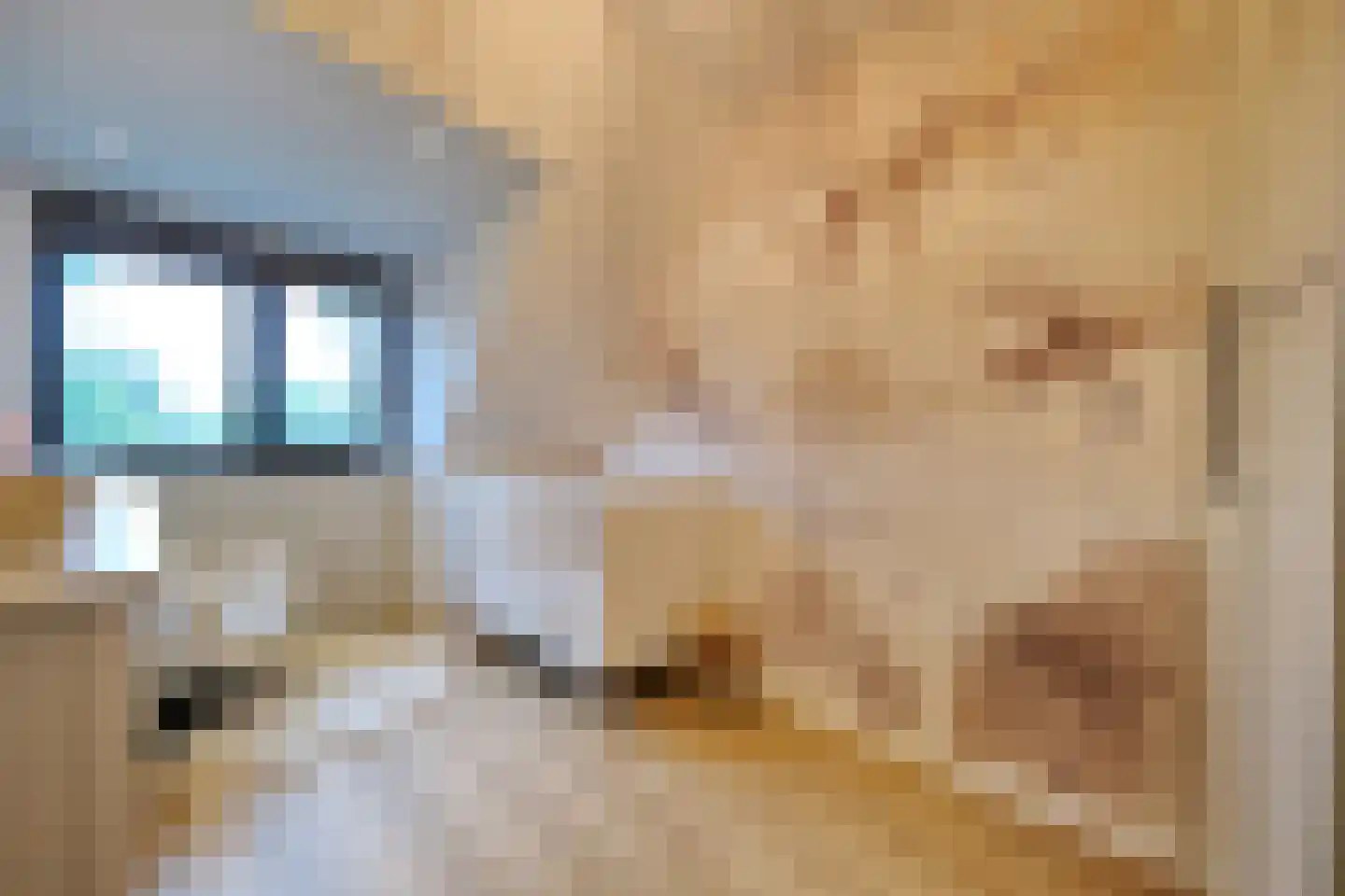 Griftweg 1 G De Klomp thumbnail 19