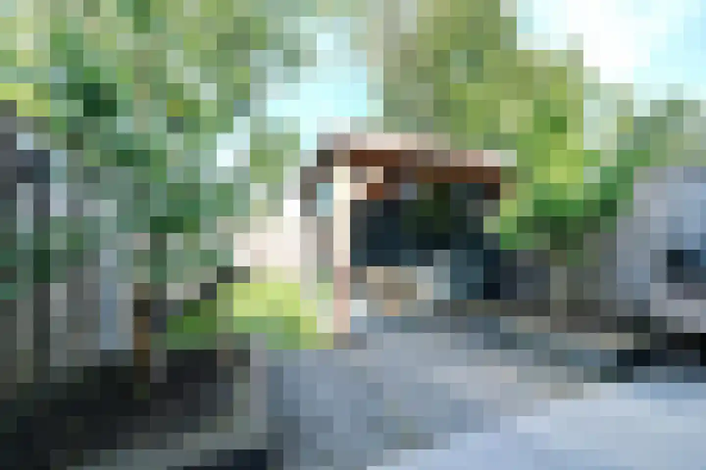 Griftweg 1 G De Klomp thumbnail 29