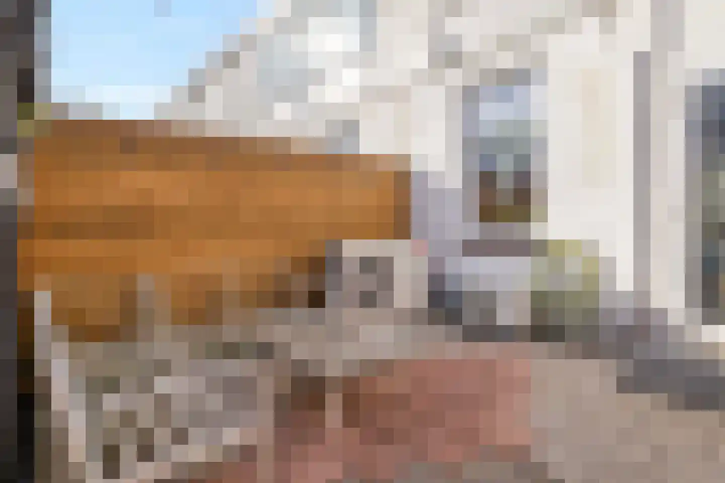 Grijpensteinstraat 42 Alphen aan den Rijn thumbnail 23