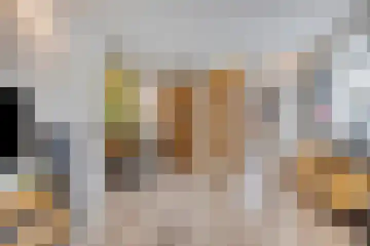 Grijpensteinstraat 45 Alphen aan den Rijn thumbnail 10