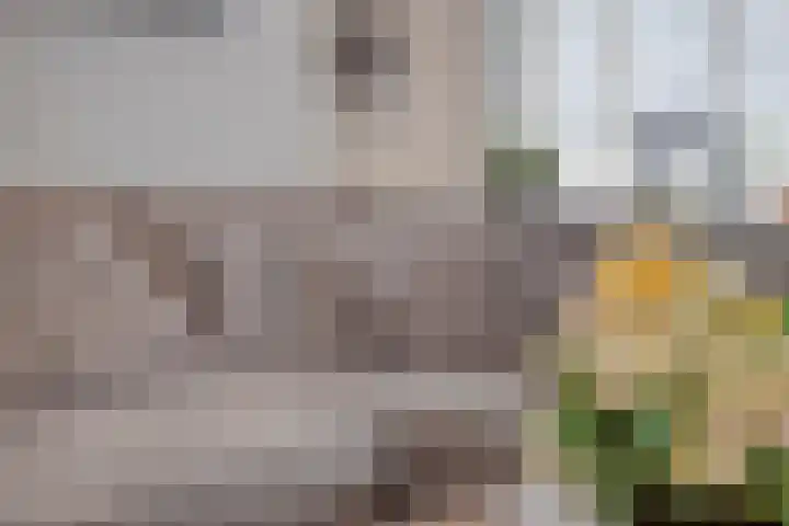 Grijpensteinstraat 45 Alphen aan den Rijn thumbnail 12