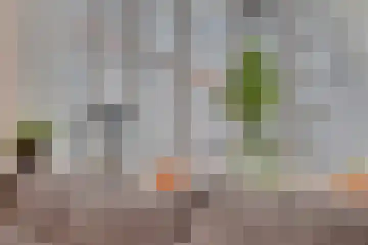 Grijpensteinstraat 45 Alphen aan den Rijn thumbnail 13