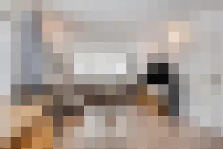 Grijpensteinstraat 45 Alphen aan den Rijn foto 2