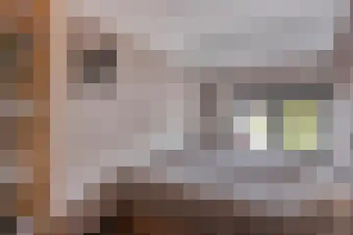 Grijpensteinstraat 45 Alphen aan den Rijn thumbnail 25