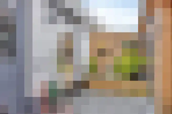 Grijpensteinstraat 45 Alphen aan den Rijn thumbnail 29