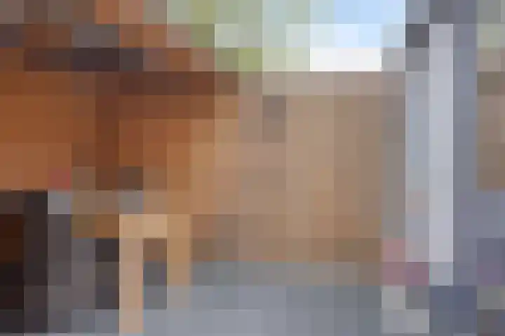 Grijpensteinstraat 45 Alphen aan den Rijn thumbnail 30