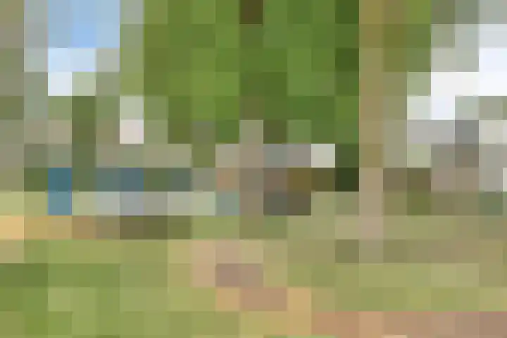 Grijpensteinstraat 45 Alphen aan den Rijn thumbnail 33