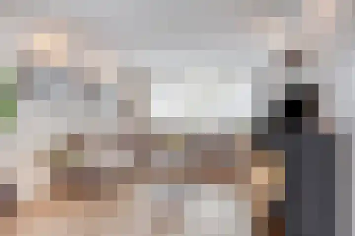 Grijpensteinstraat 45 Alphen aan den Rijn thumbnail 9