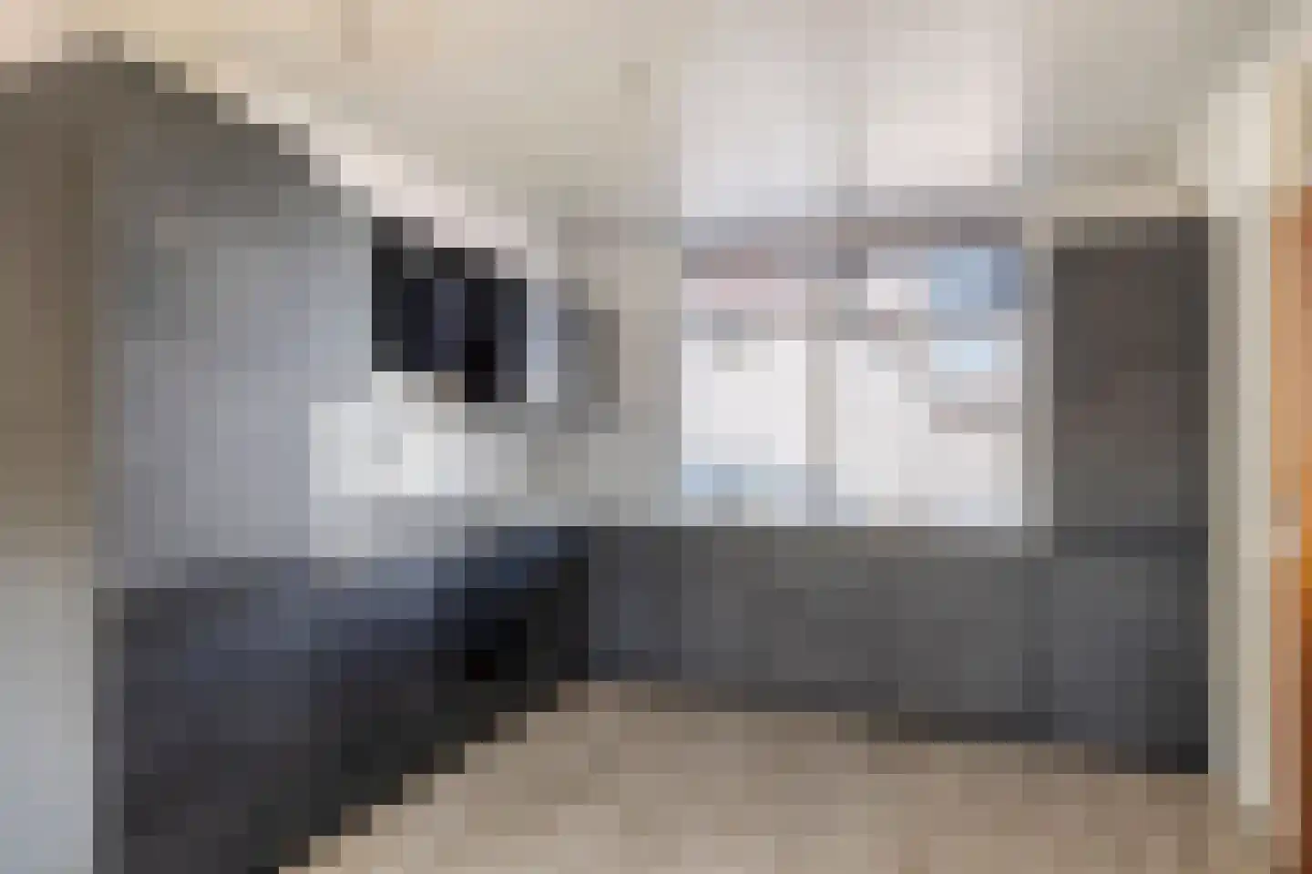 Grijpensteinstraat 57 Alphen aan den Rijn thumbnail 8