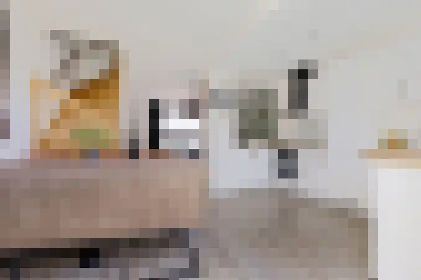 Grijpensteinstraat 59 Alphen aan den Rijn thumbnail 13