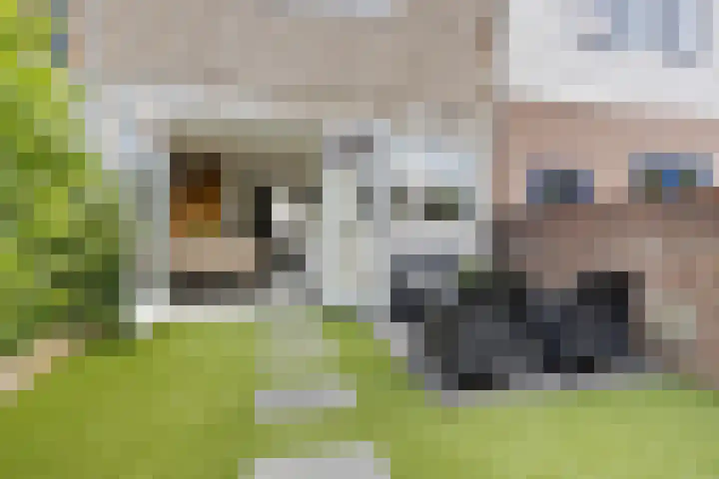 Grijpensteinstraat 59 Alphen aan den Rijn thumbnail 22