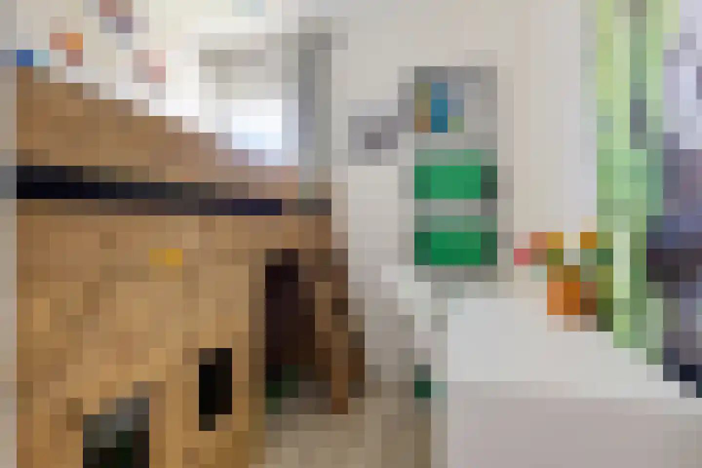 Grijpensteinstraat 59 Alphen aan den Rijn thumbnail 31