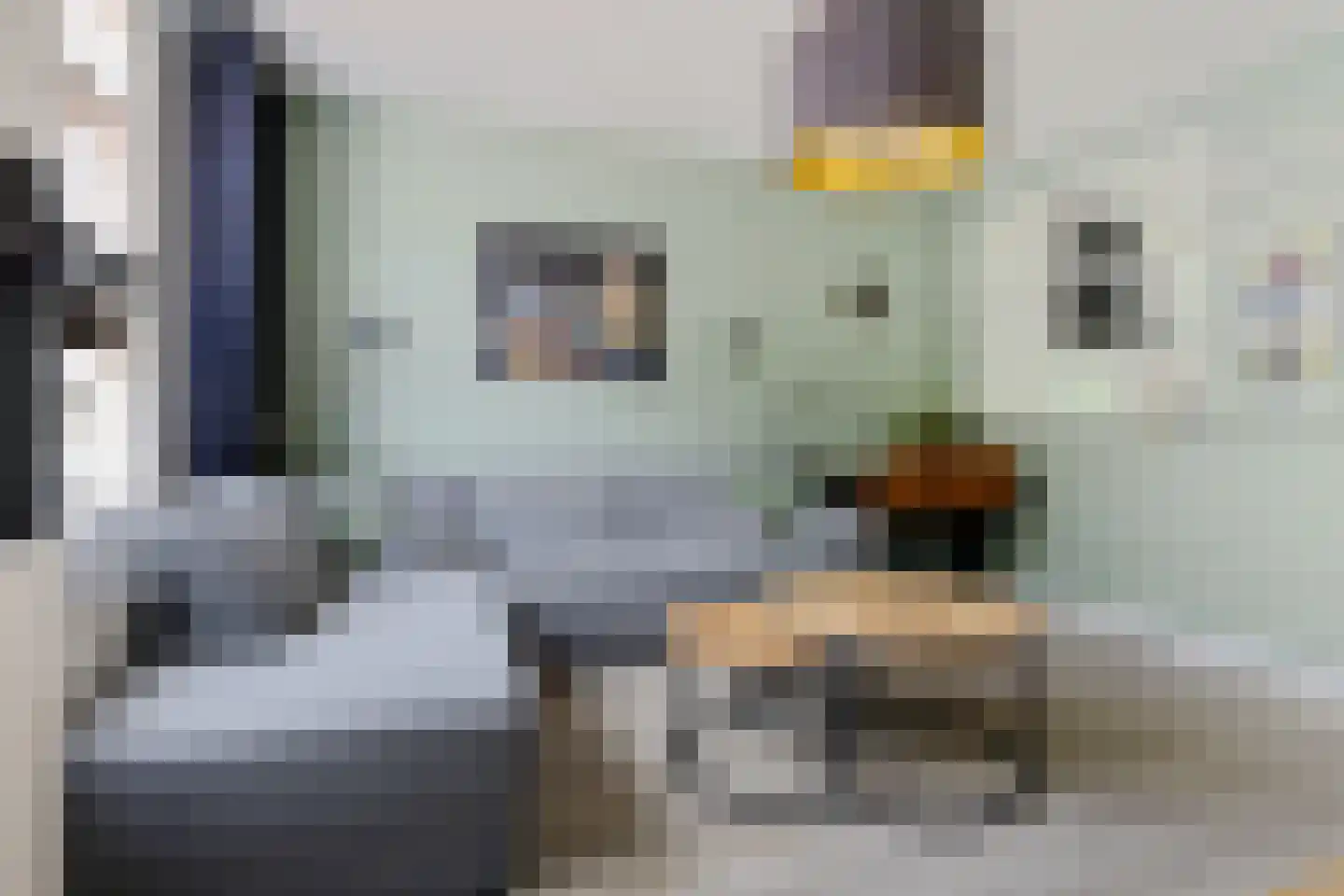 Grijpensteinstraat 59 Alphen aan den Rijn thumbnail 4
