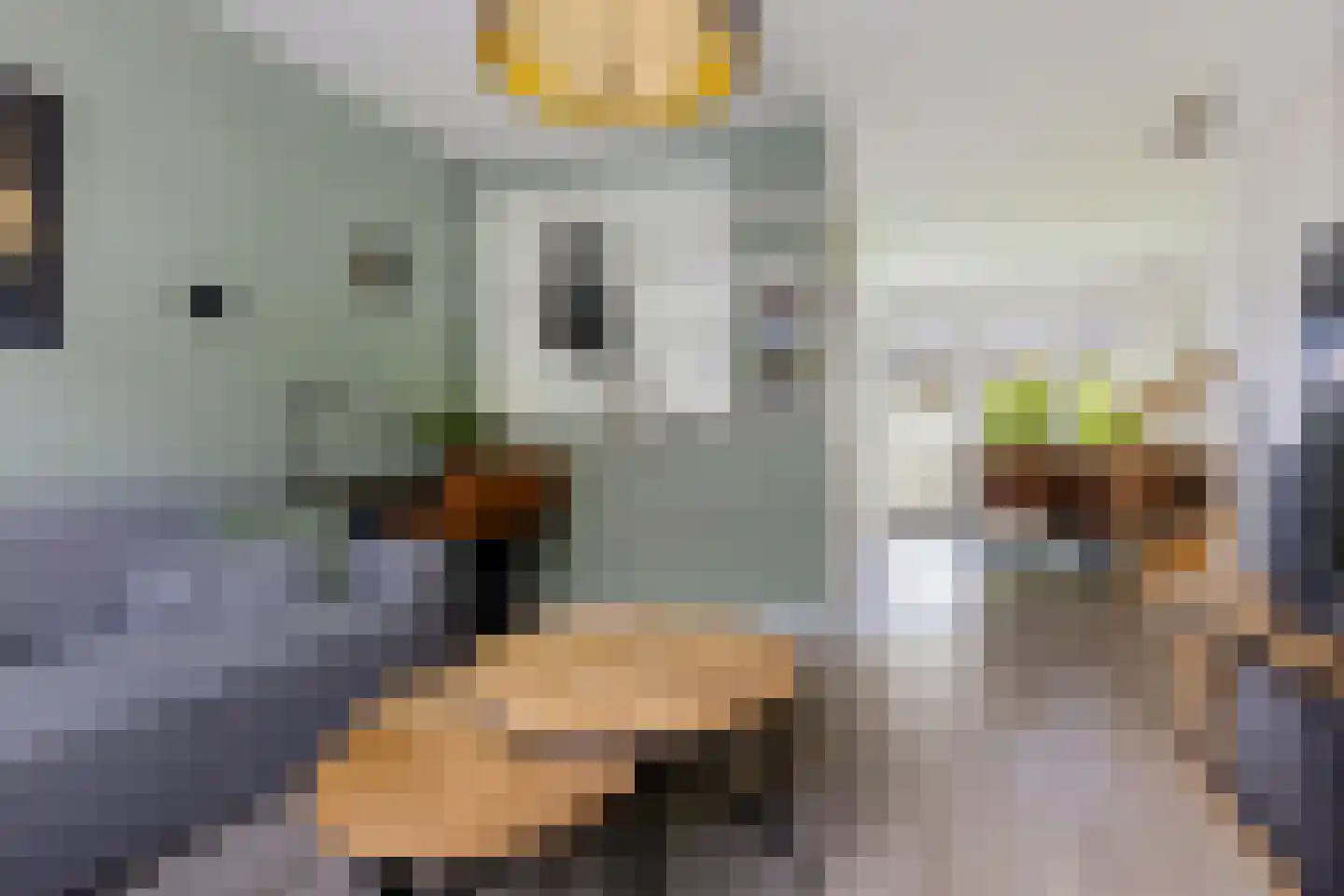 Grijpensteinstraat 59 Alphen aan den Rijn thumbnail 7