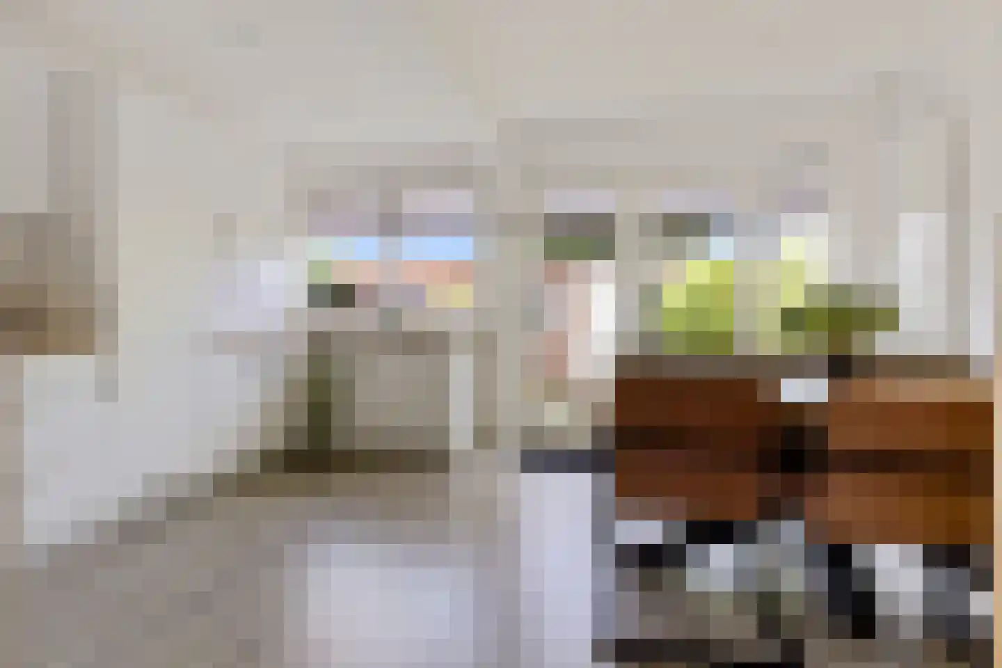 Grijpensteinstraat 59 Alphen aan den Rijn thumbnail 9