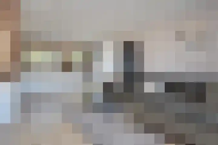 Grijpestijnhof 35 Bleiswijk thumbnail 12