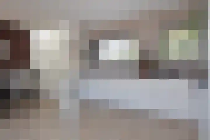 Grijpestijnhof 35 Bleiswijk thumbnail 14
