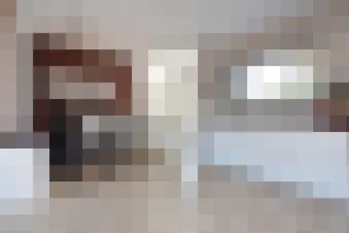 Grijpestijnhof 35 Bleiswijk thumbnail 15