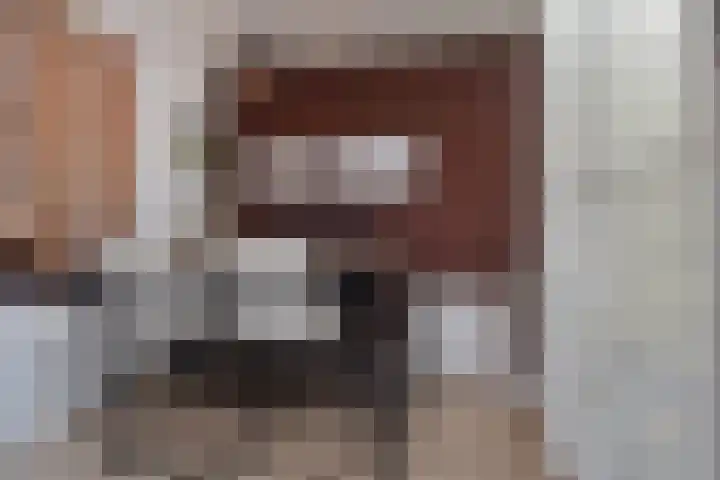 Grijpestijnhof 35 Bleiswijk thumbnail 16