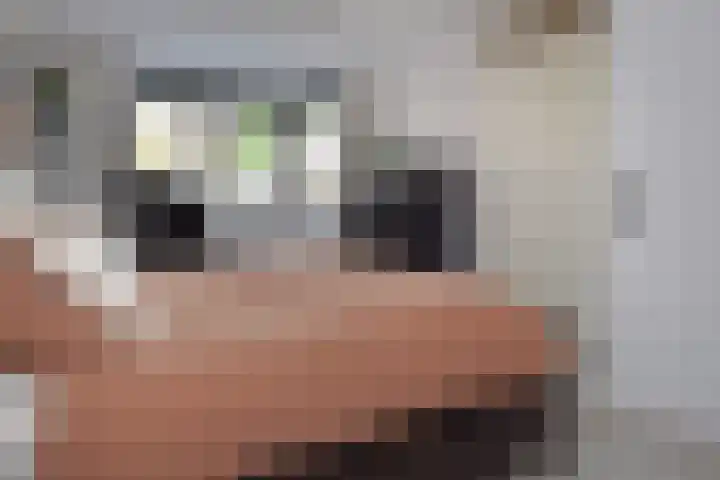Grijpestijnhof 35 Bleiswijk thumbnail 32
