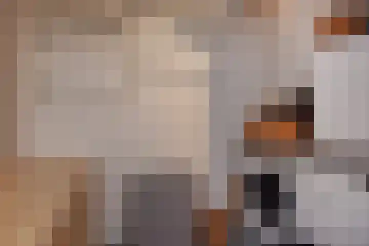 Grijpestijnhof 35 Bleiswijk thumbnail 36
