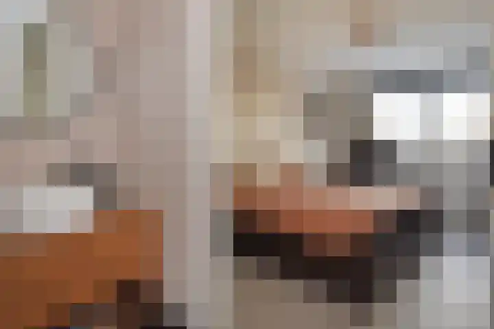 Grijpestijnhof 35 Bleiswijk thumbnail 4