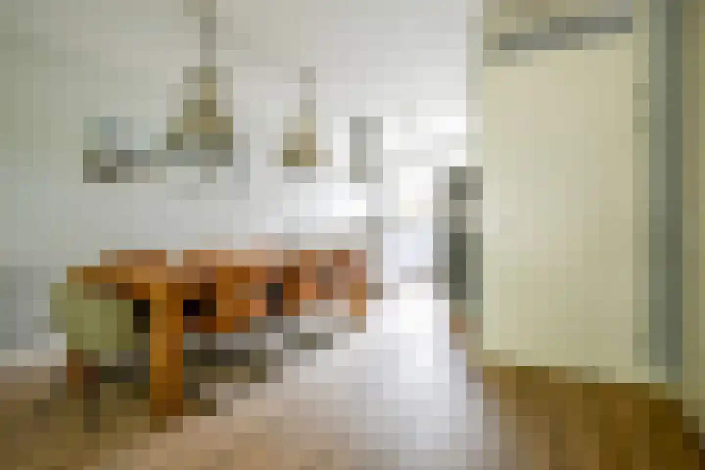 Grijpestijnhof 8 Bleiswijk thumbnail 11