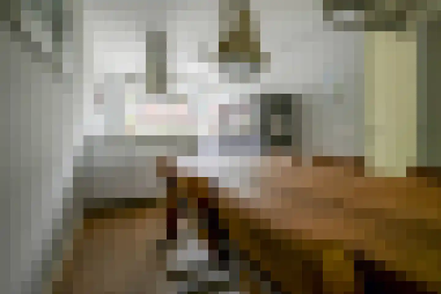 Grijpestijnhof 8 Bleiswijk thumbnail 12
