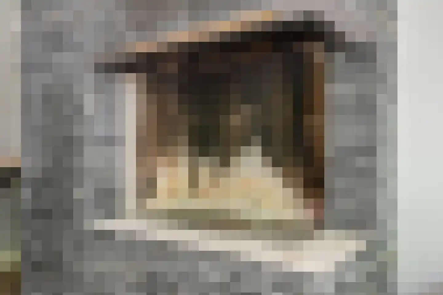 Grijpestijnhof 8 Bleiswijk thumbnail 13