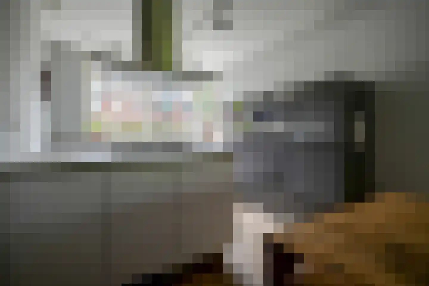Grijpestijnhof 8 Bleiswijk thumbnail 14