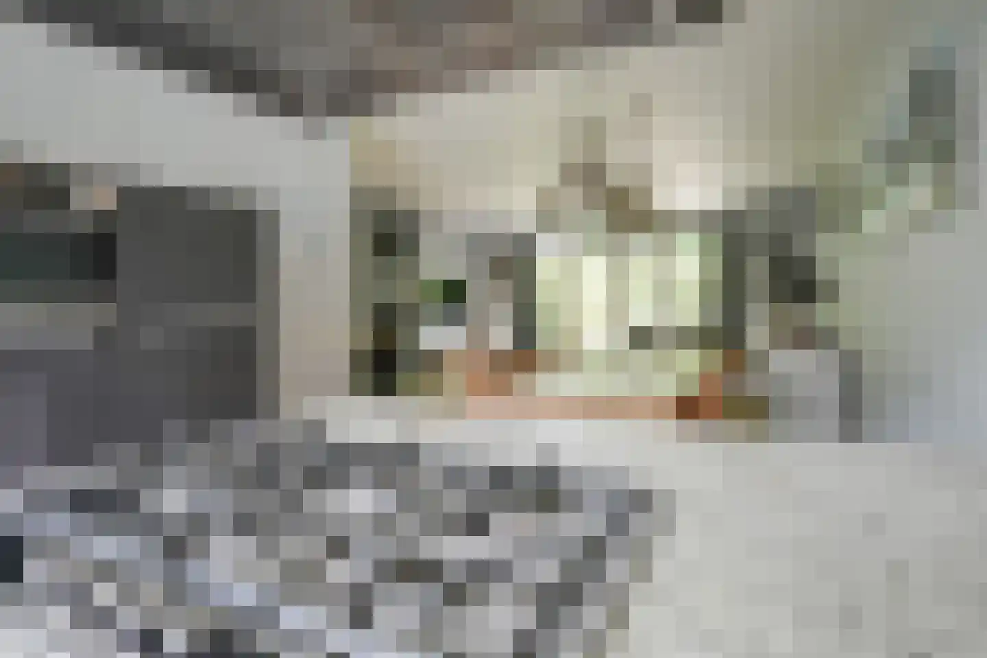 Grijpestijnhof 8 Bleiswijk thumbnail 15