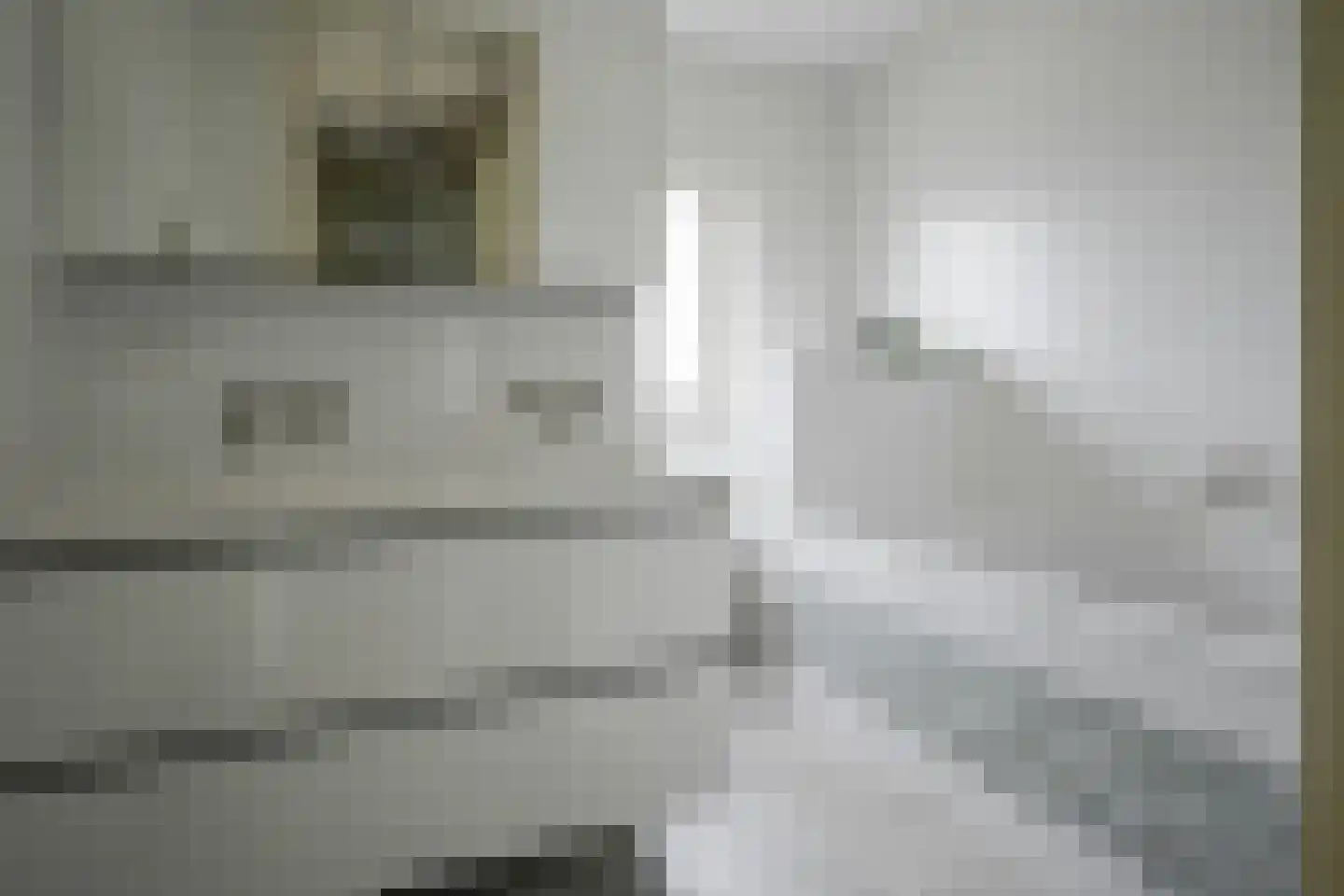 Grijpestijnhof 8 Bleiswijk thumbnail 19