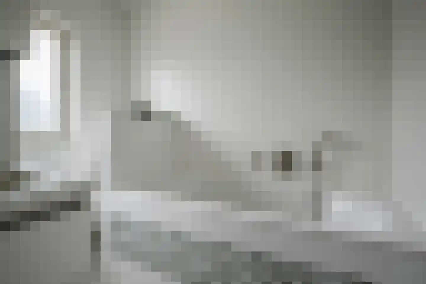 Grijpestijnhof 8 Bleiswijk thumbnail 21