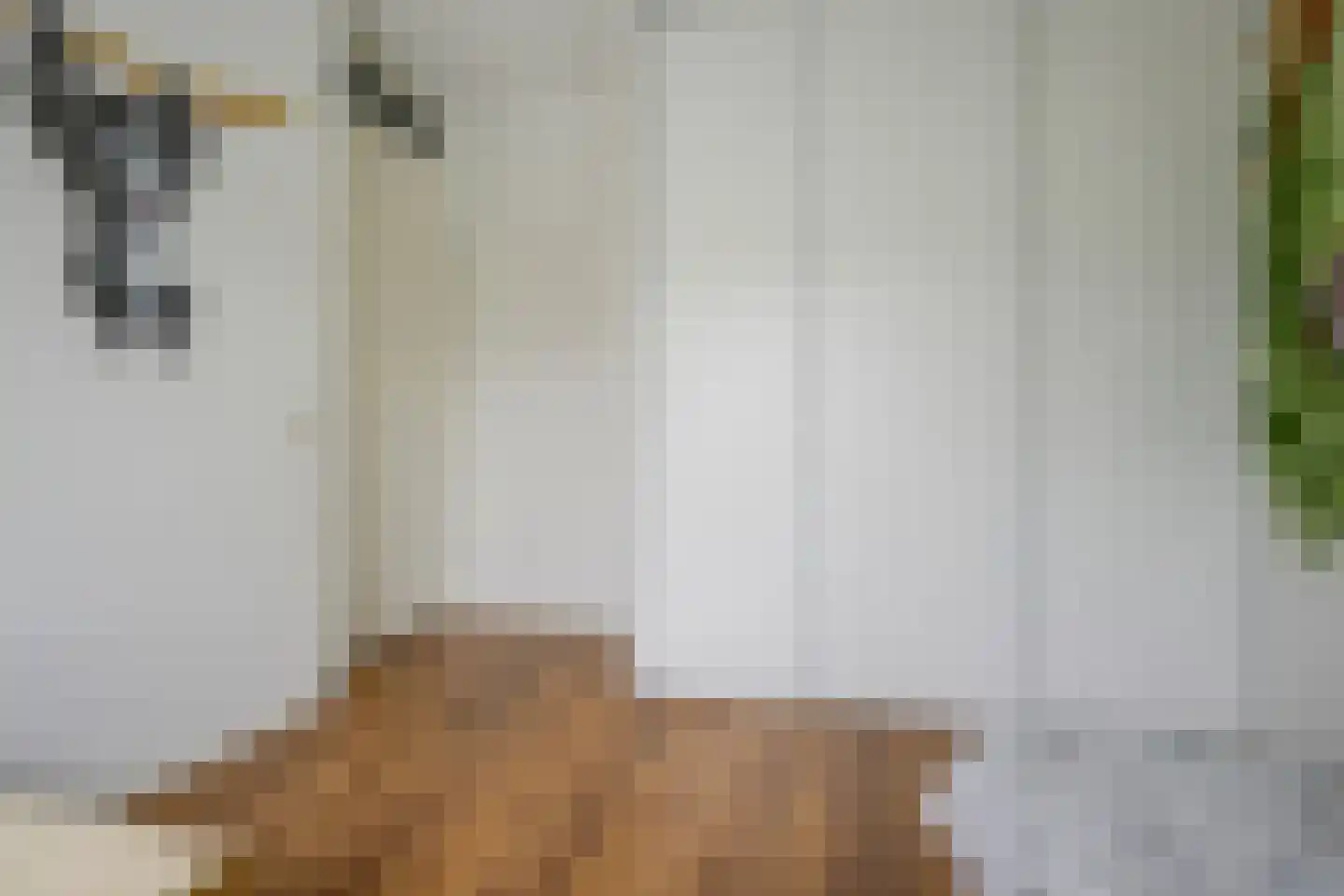 Grijpestijnhof 8 Bleiswijk thumbnail 23