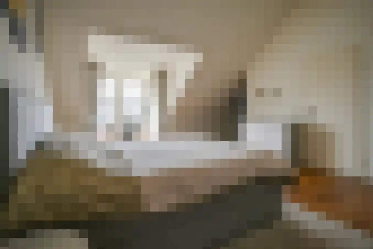 Grijpestijnhof 8 Bleiswijk thumbnail 31